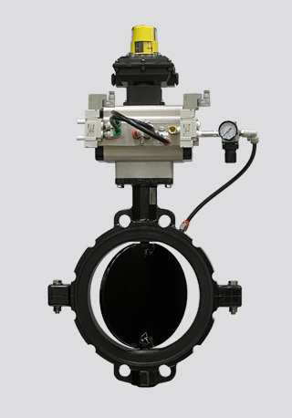 Series 484 - 10" Valve